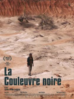 Affiche française du film "La couleuvre noire"