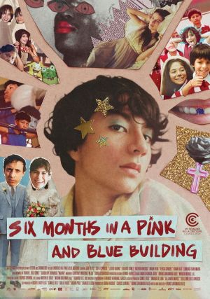 Affiche du film "Seis meses en la casa rosa con azul"